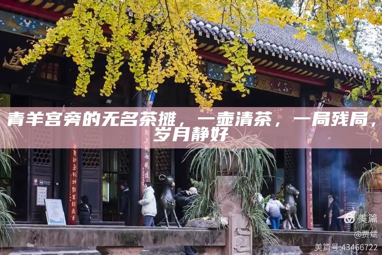 青羊宫旁的无名茶摊，一壶清茶，一局残局，岁月静好