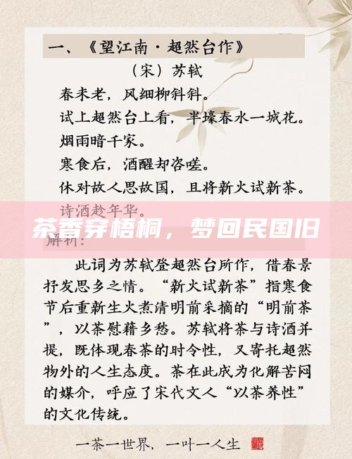 茶香穿梧桐，梦回民国旧