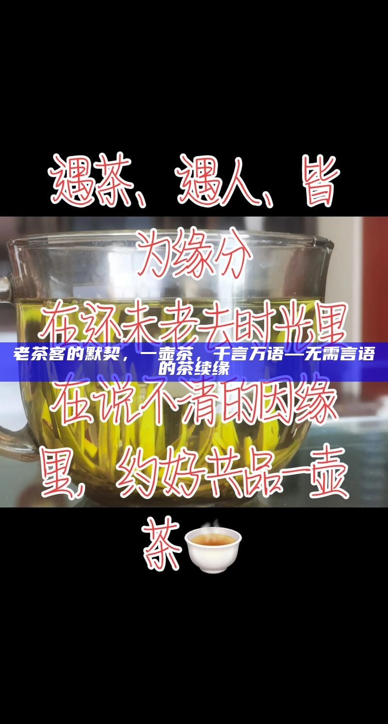 老茶客的默契，一壶茶，千言万语—无需言语的茶续缘